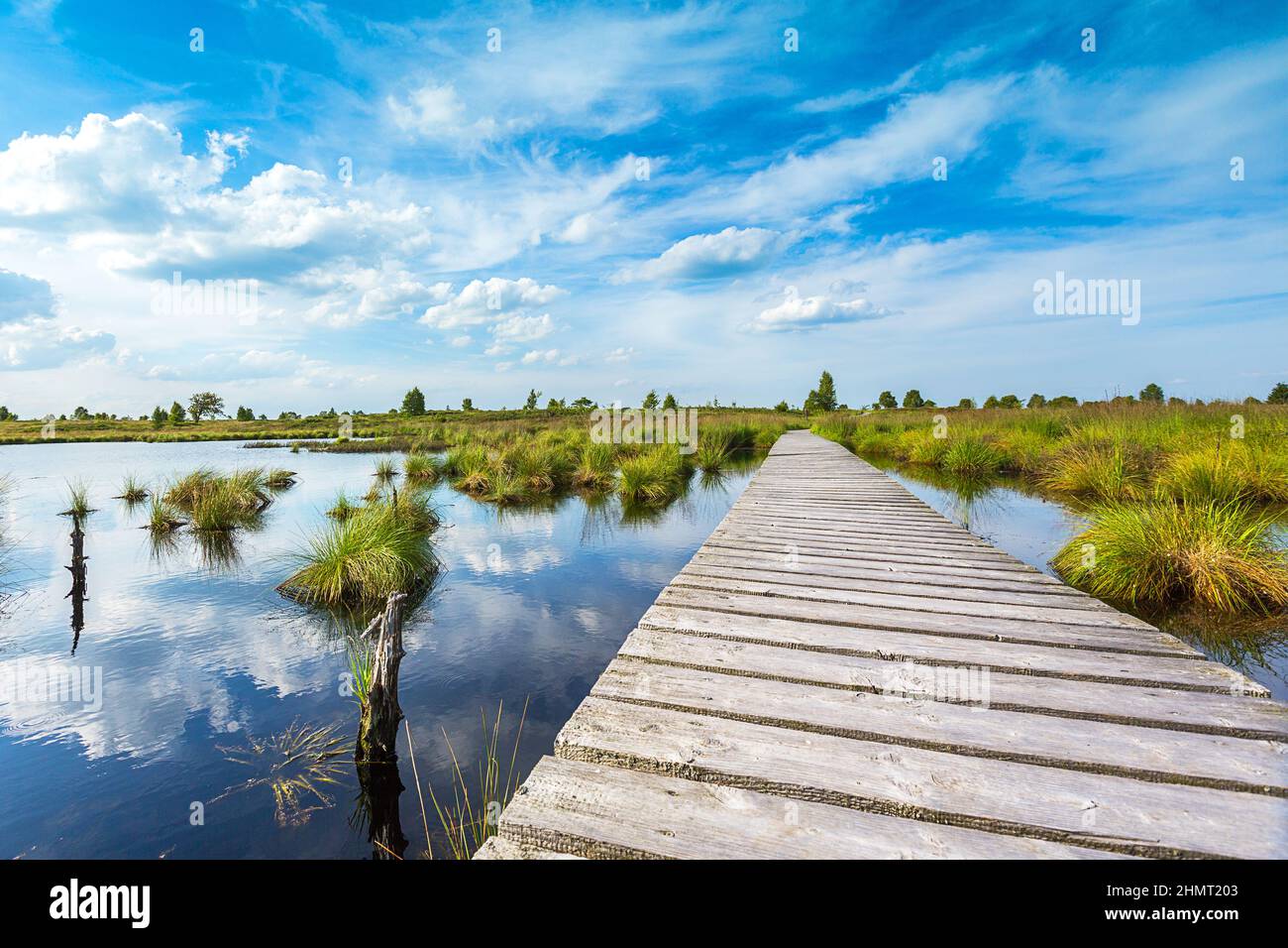 boardwalk over a bog lake with Blue Cloudy Sky Stock Photo