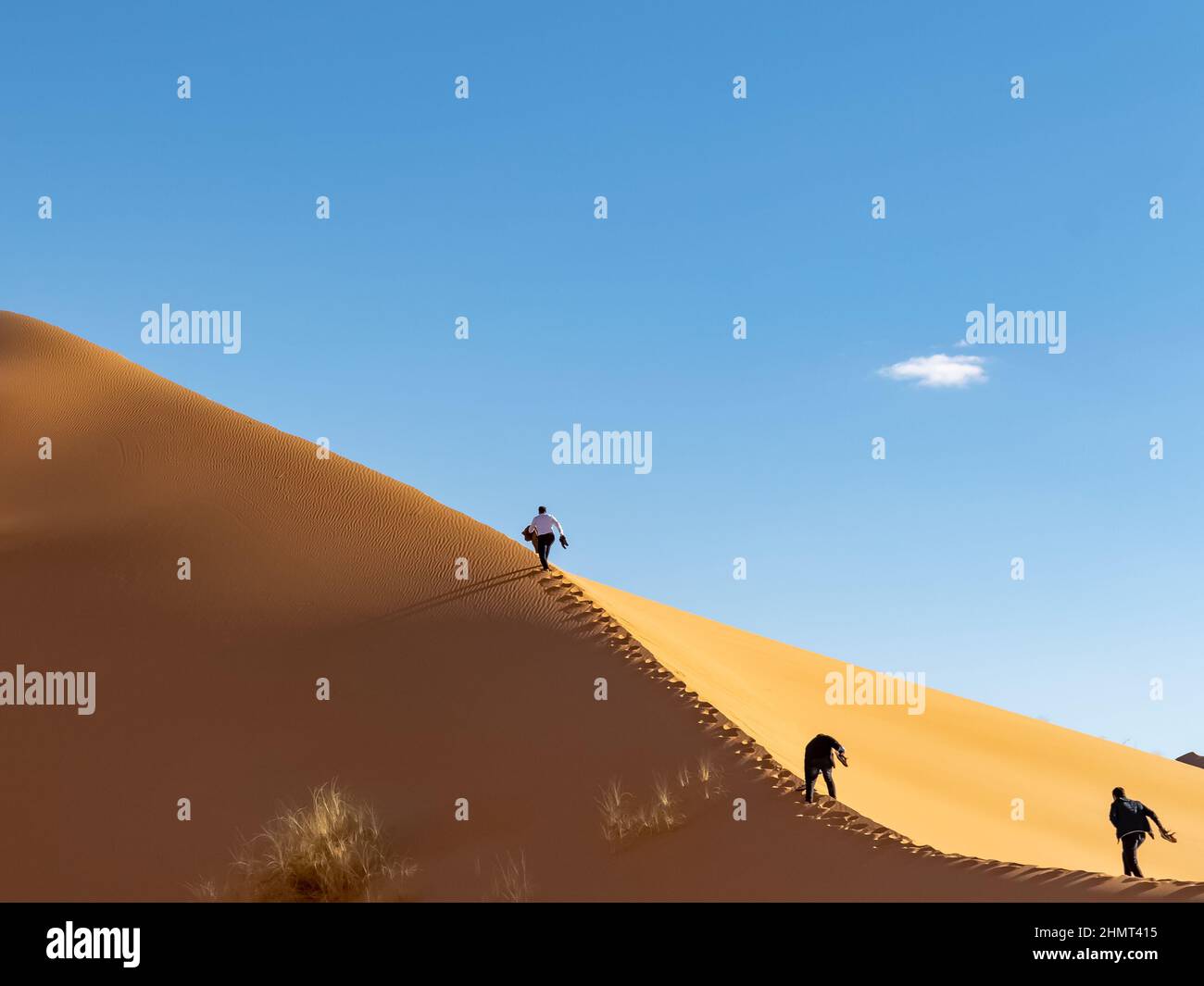 Unrecognizable tourists climbing with difficulty along the crest of a high sand dune, making efforts, holding their shoes. Low angle view from behind. Stock Photo