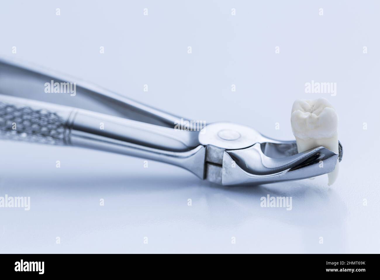 Pliers for wisdom tooth removal by a dentist Stock Photo Alamy