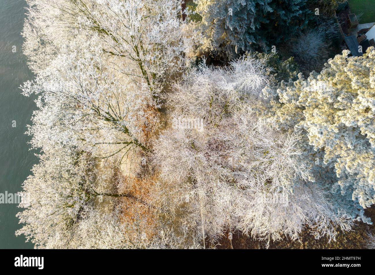 rime ice, Supercooled water droplets freeze on contact on area trees and street signs. Stock Photo