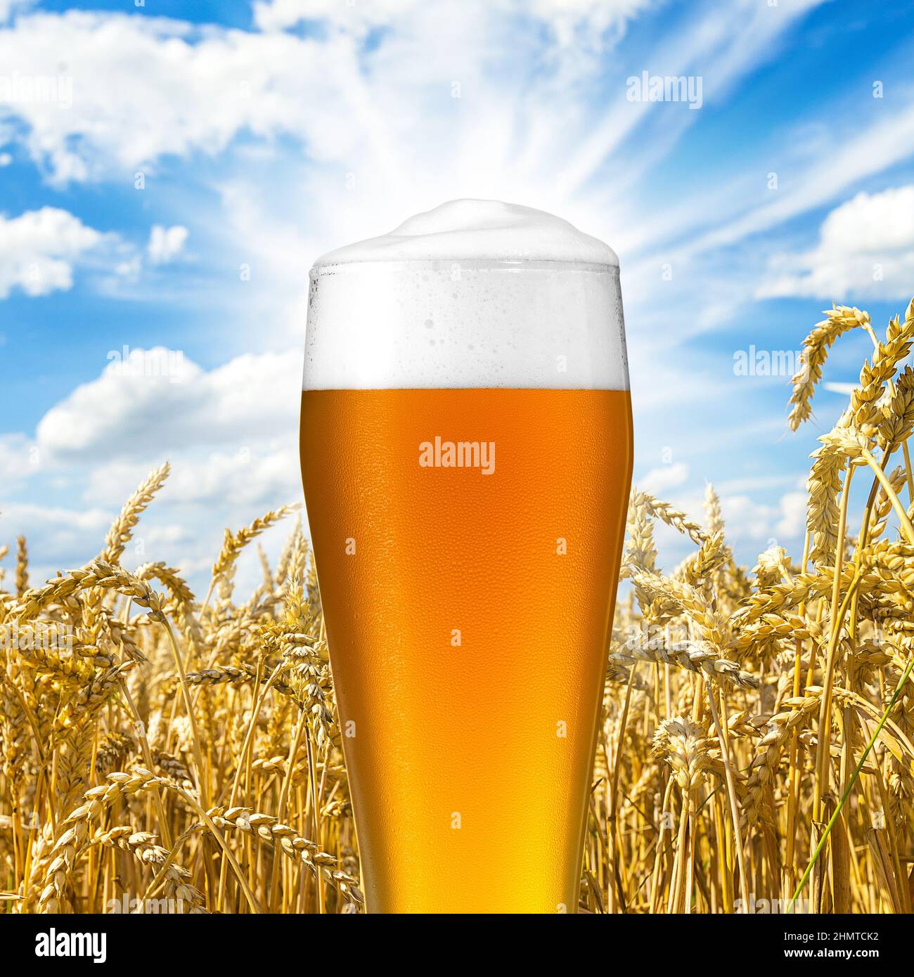 Weizen bier mit tau tropfen Stock Photo
