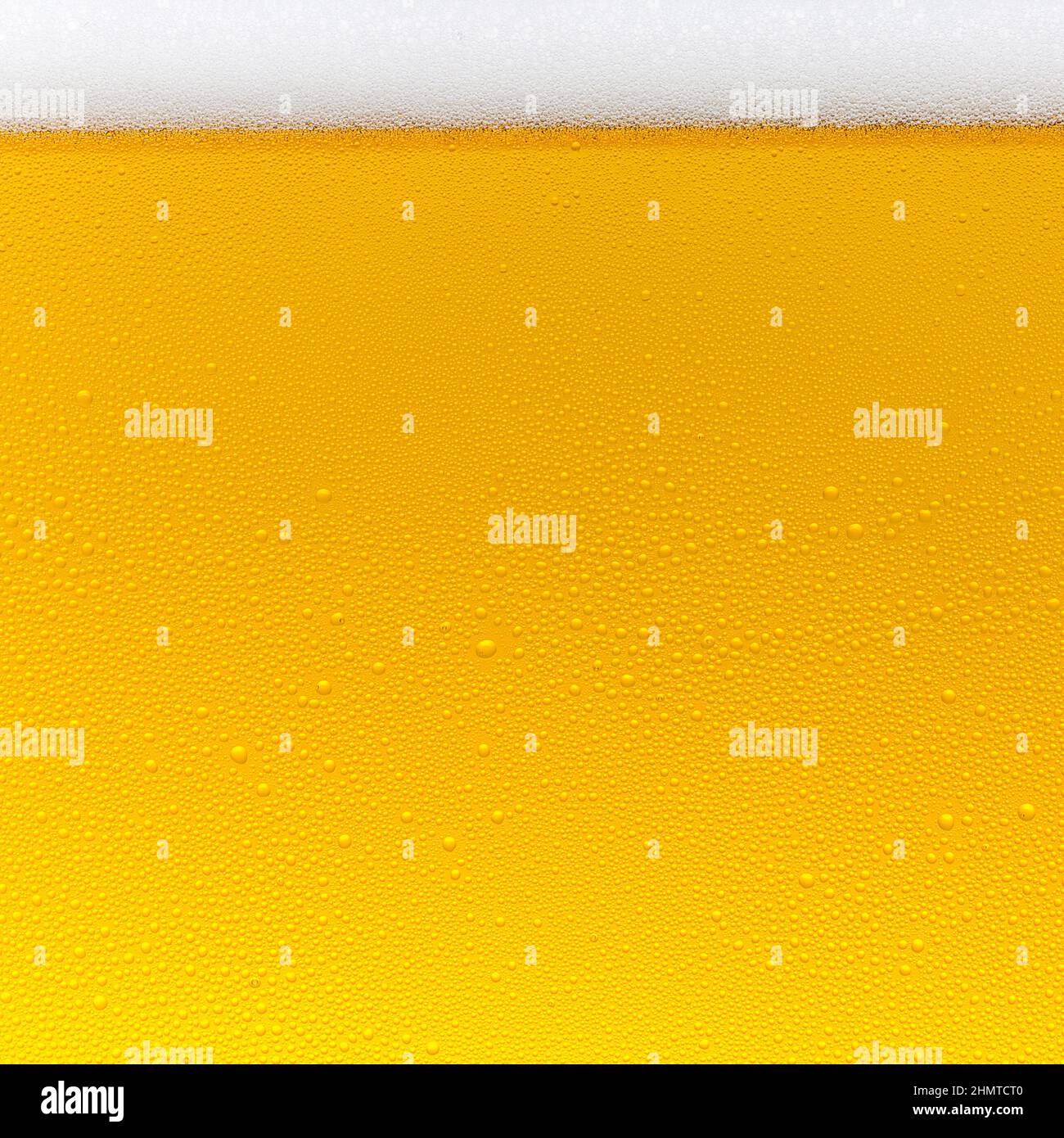 Beer foam crown drink alcohol with drops of condensation Stock Photo