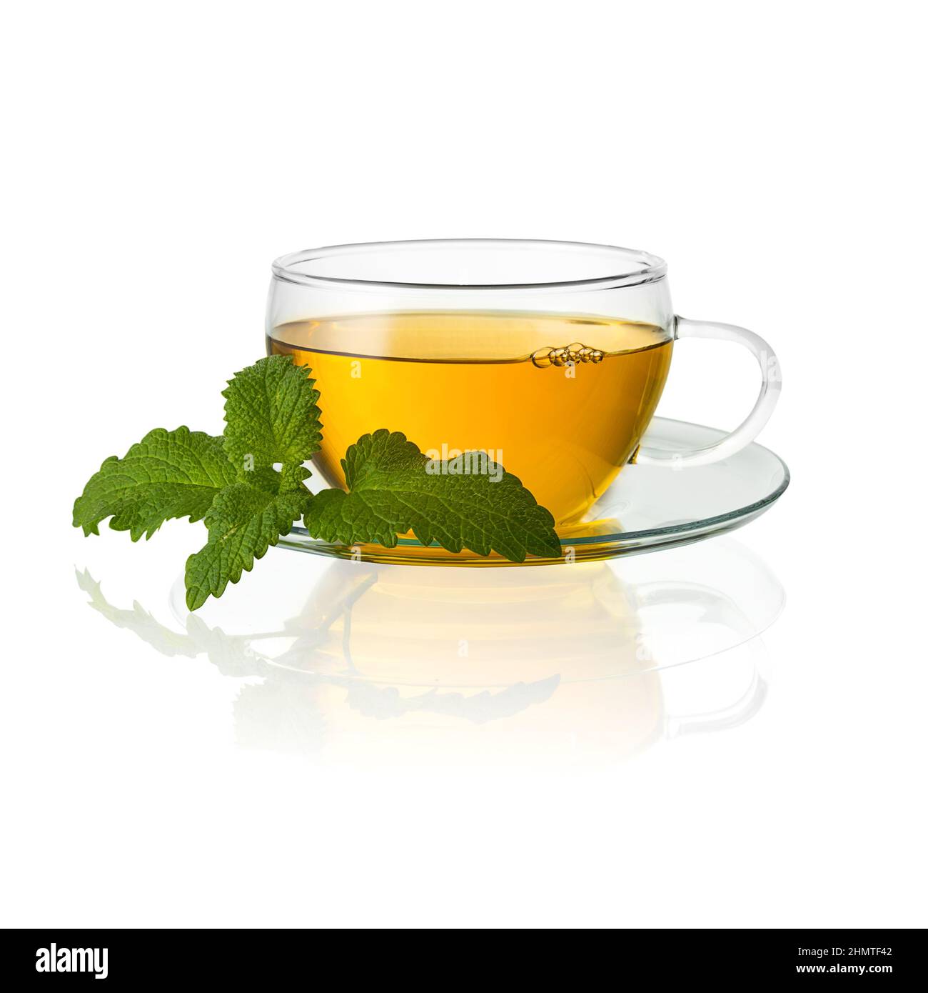 teacup tea with mint peppermint leaf hot drink aroma isolated on white background with