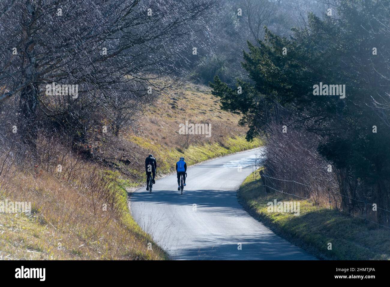 Couple cycling up Box Hill on the Zig Zag Road during winter, Surrey