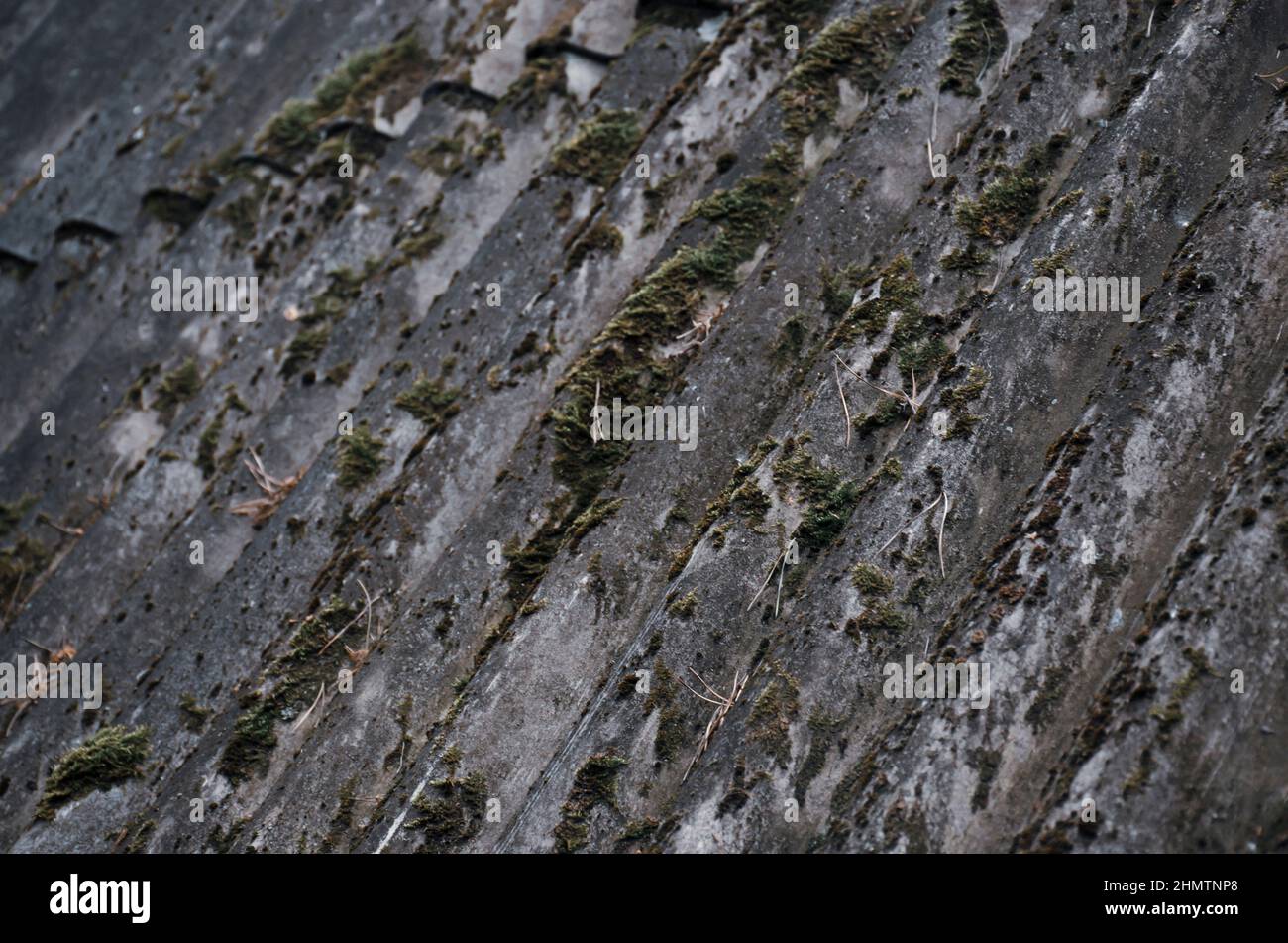 The old slate roof is covered with green moss and dry foliage. The concept of replacing the roof. Roof repair. Stock Photo