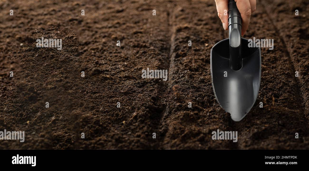 Open ground seed sowing hi-res stock photography and images - Alamy