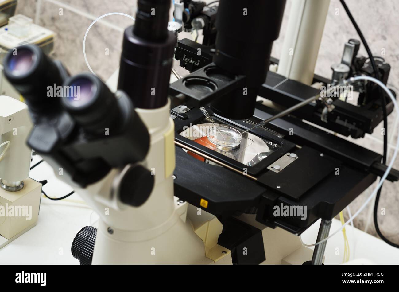 process of artificial insemination of an egg in an IVF clinic
