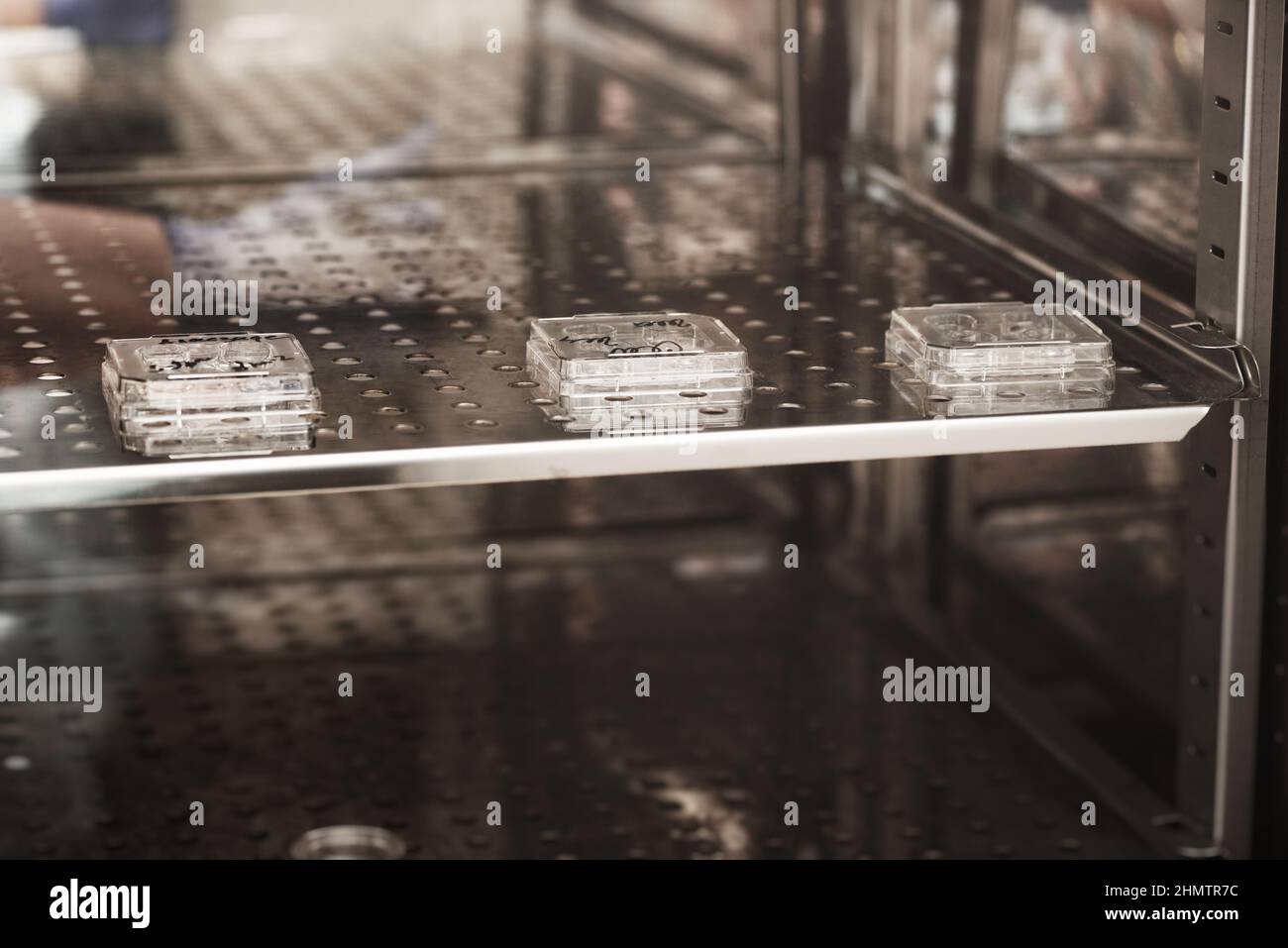 process of artificial insemination of an egg in an IVF clinic