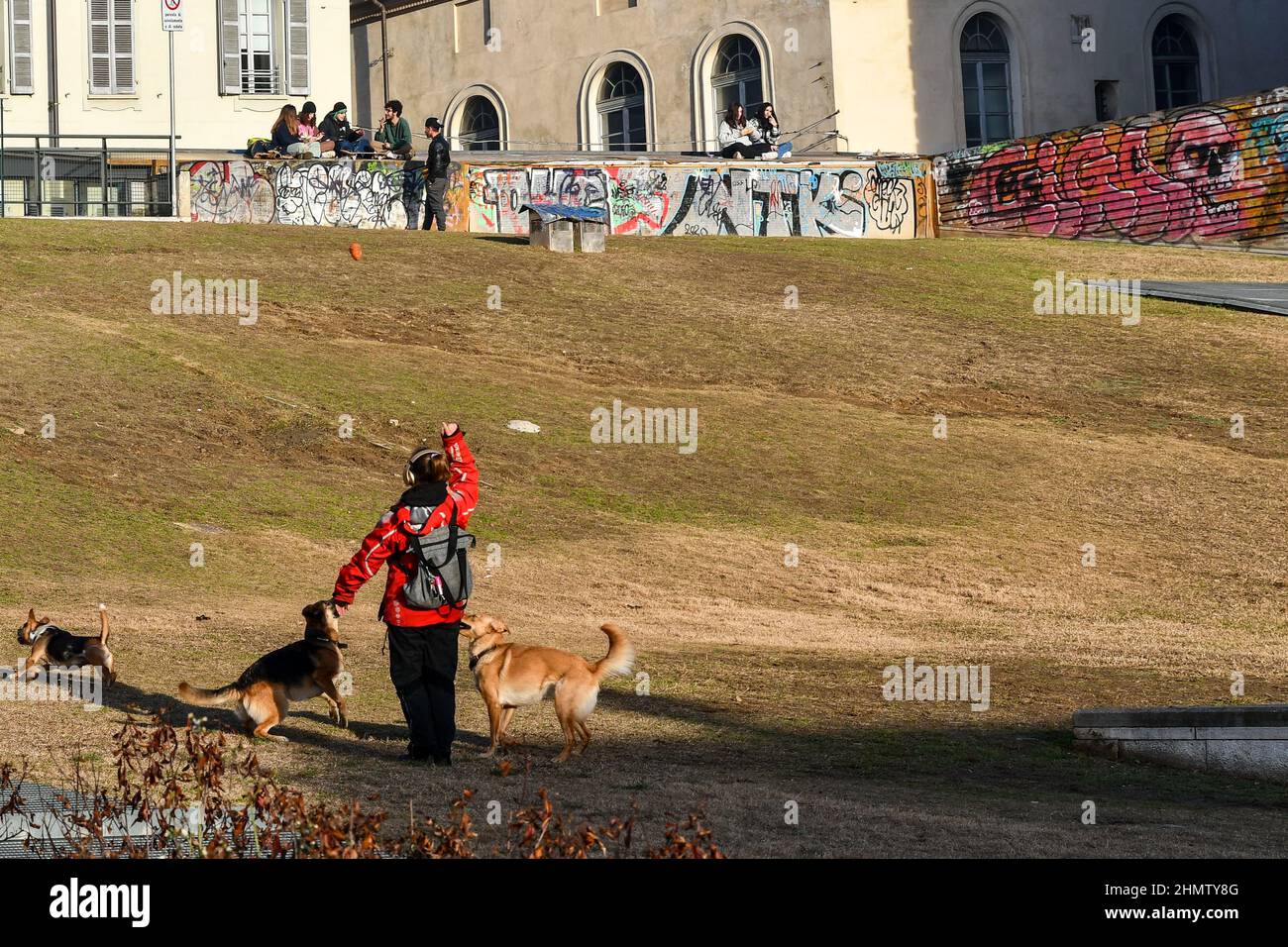 A girl playing with her dogs with a group of teenagers sitting on a graffiti wall in the background in a sunny winter day, Turin, Piedmont, Italy Stock Photo
