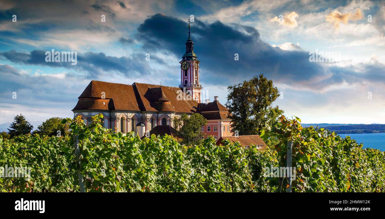 Birnau monastery and pilgrimage church surrounded by grapevines, Birnau, Bodenseekreis, Baden-Würtemberg, Germany Stock Photo