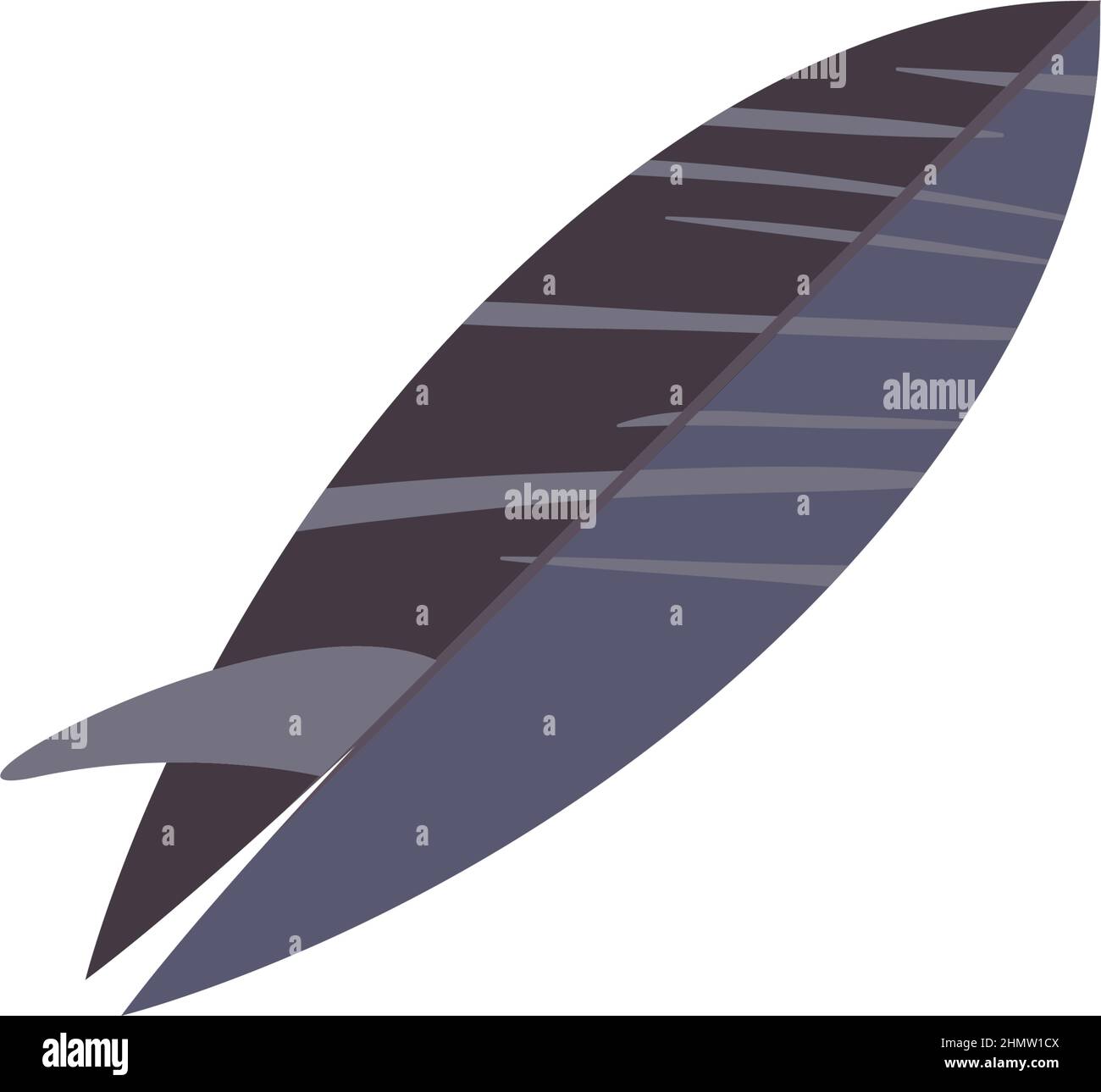 gray surfboard illustration over white Stock Vector Image & Art - Alamy