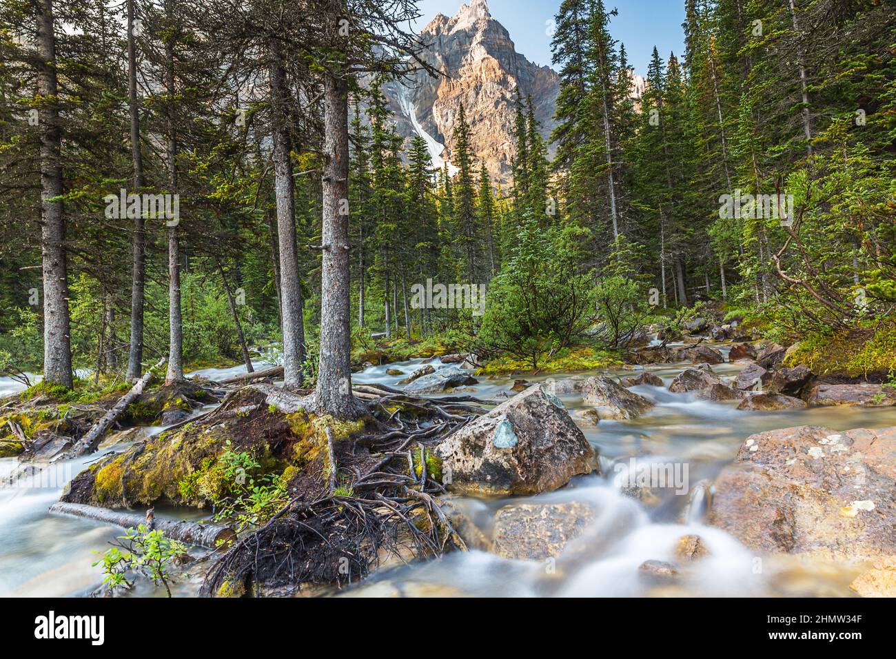moraine lake brook in the woods with rocky mountains at banff canada Stock Photo