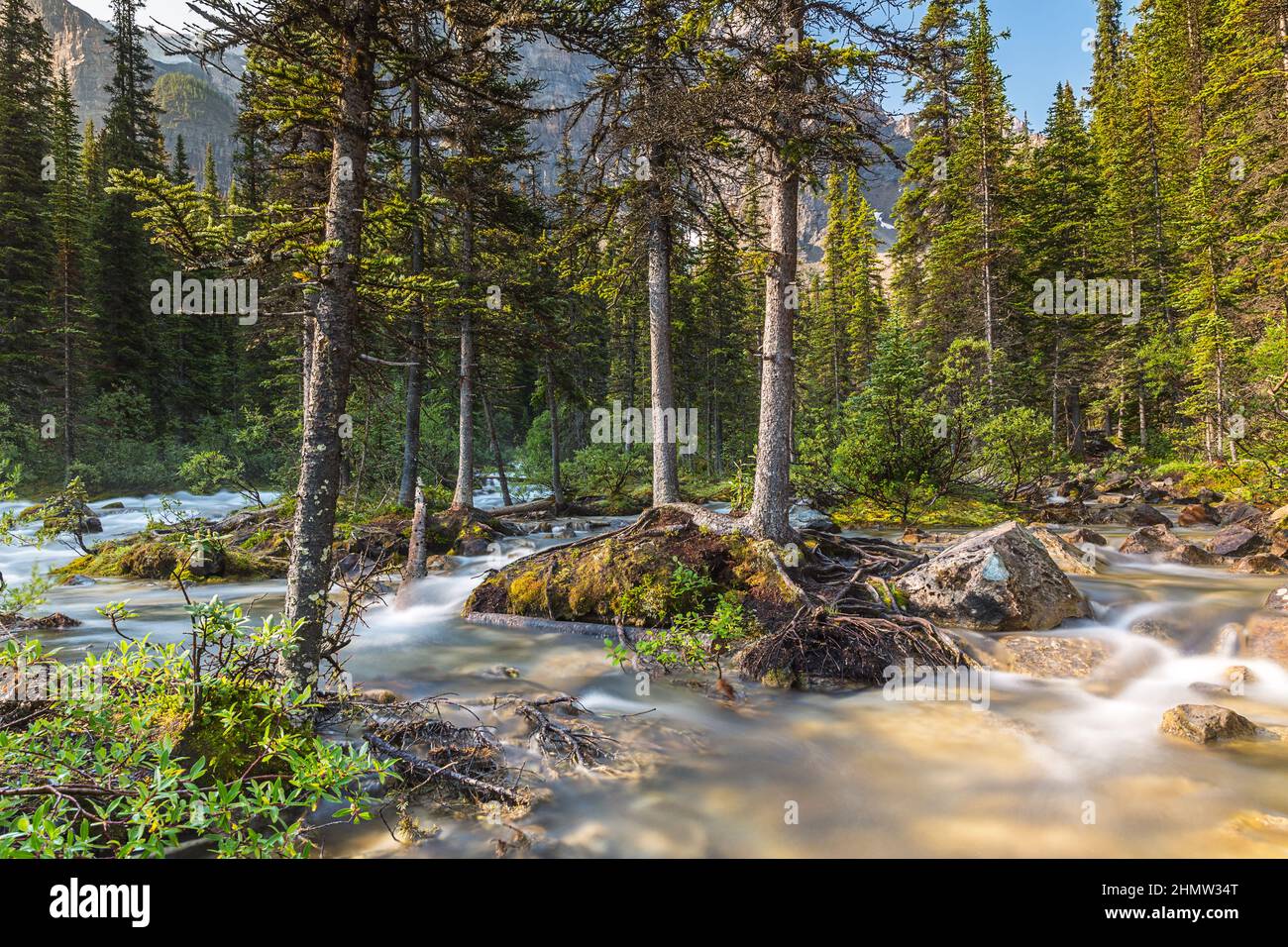 moraine lake brook in the woods with rocky mountains at banff canada Stock Photo