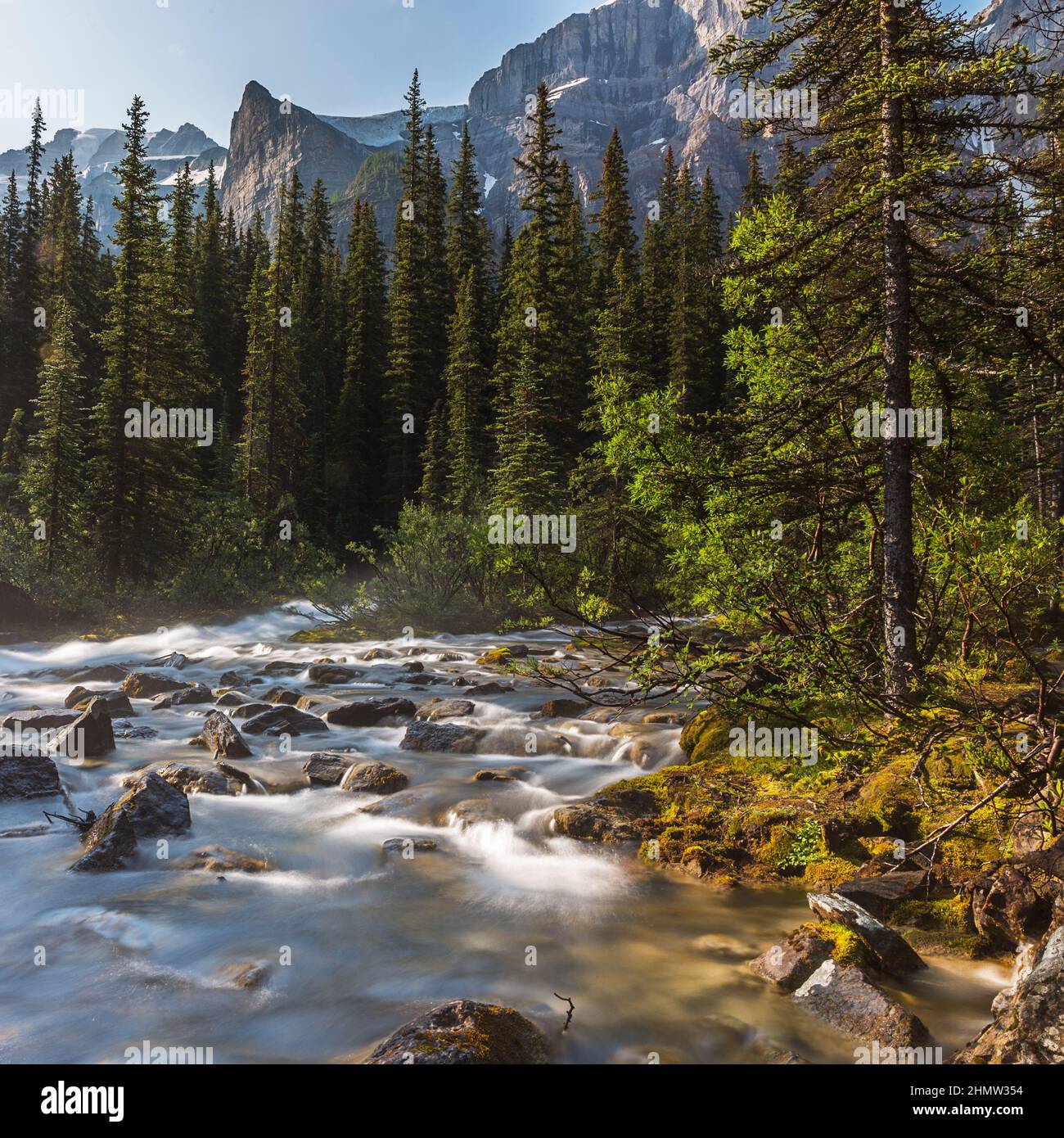 moraine lake brook in the woods at banff canada Stock Photo