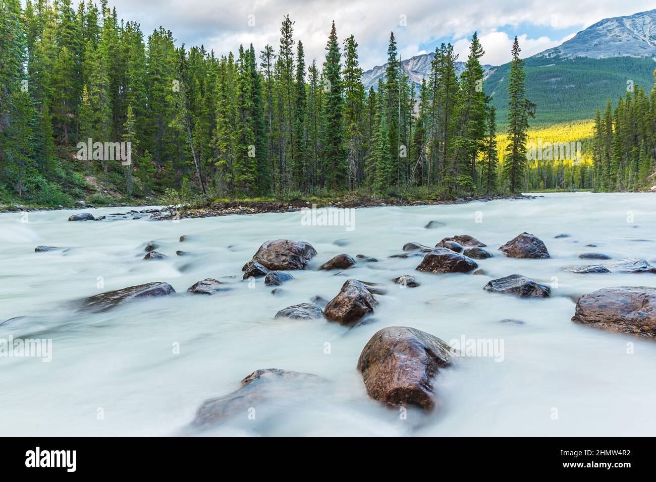 Sunwapta River With Island At The Jasper National Park Canada Stock 