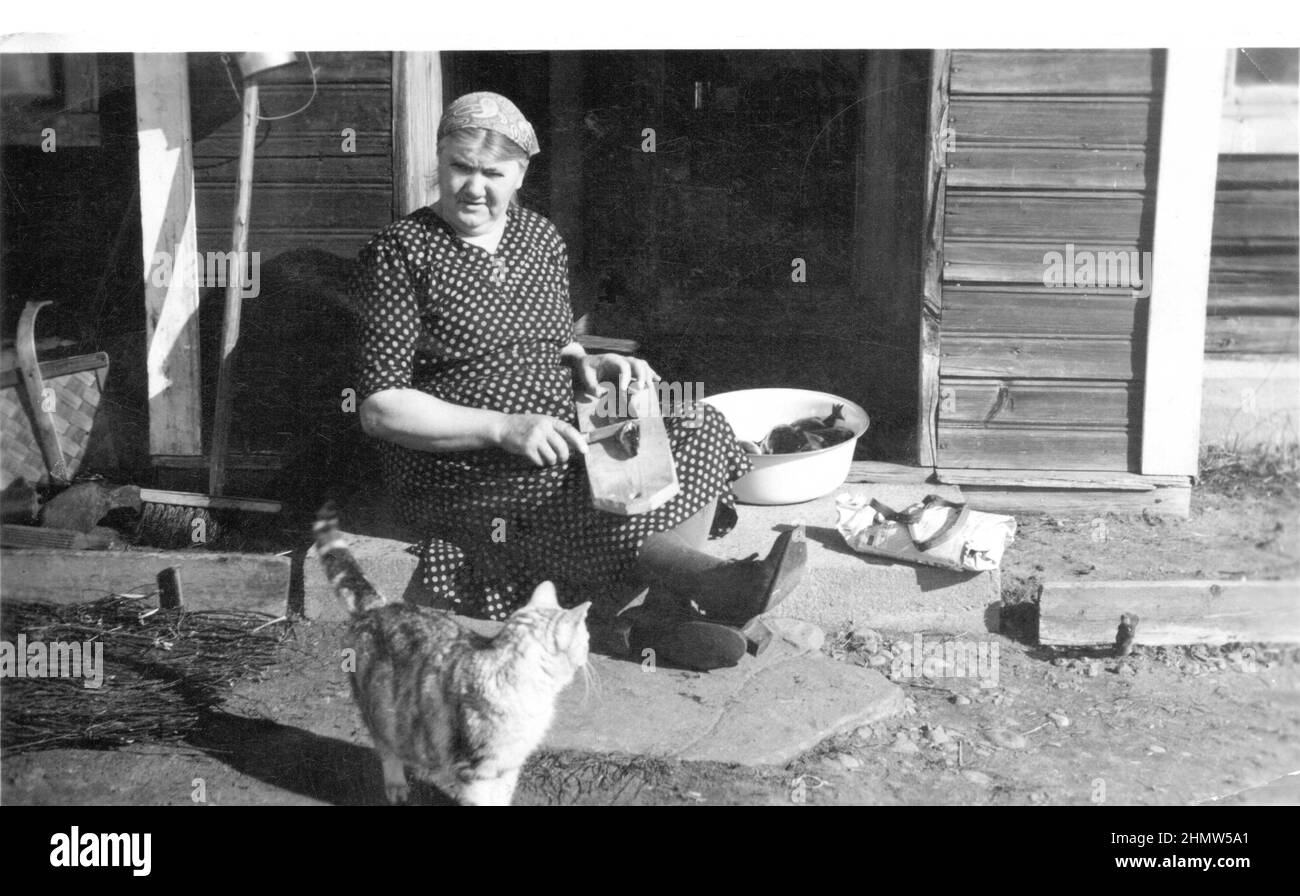 Authentic vintage photograph of senior woman in spotted dress sitting on ground preparing food watched by cat in front of wooden building, Sweden Stock Photo