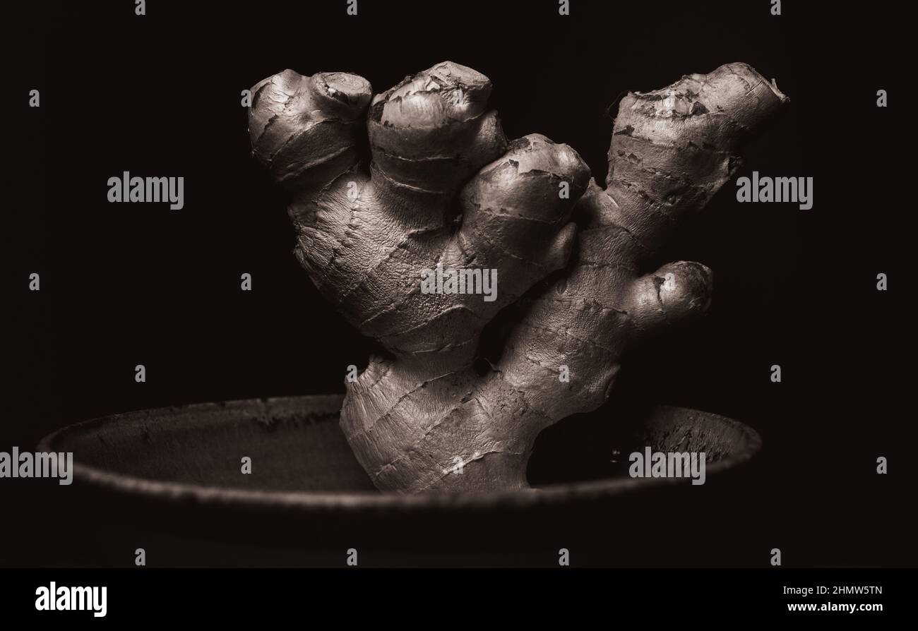 Ginger radix closeup on dark backround Stock Photo
