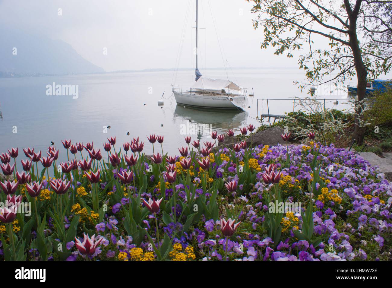 Garden of colorful flowers near the harbor of Lake Geneva in Montreux
