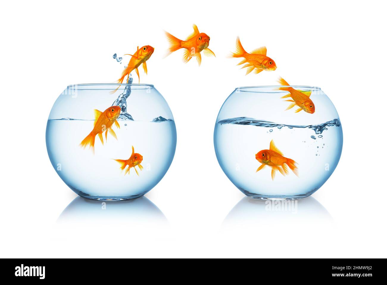 Aquarium water change hi-res stock photography and images - Alamy