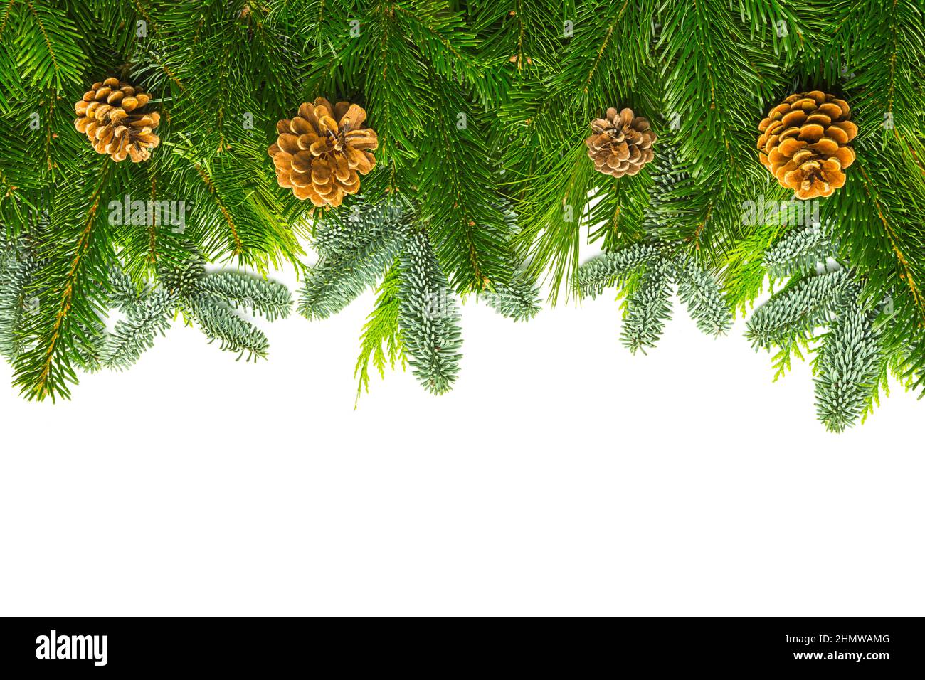 Fir tree branches cones hi-res stock photography and images - Alamy