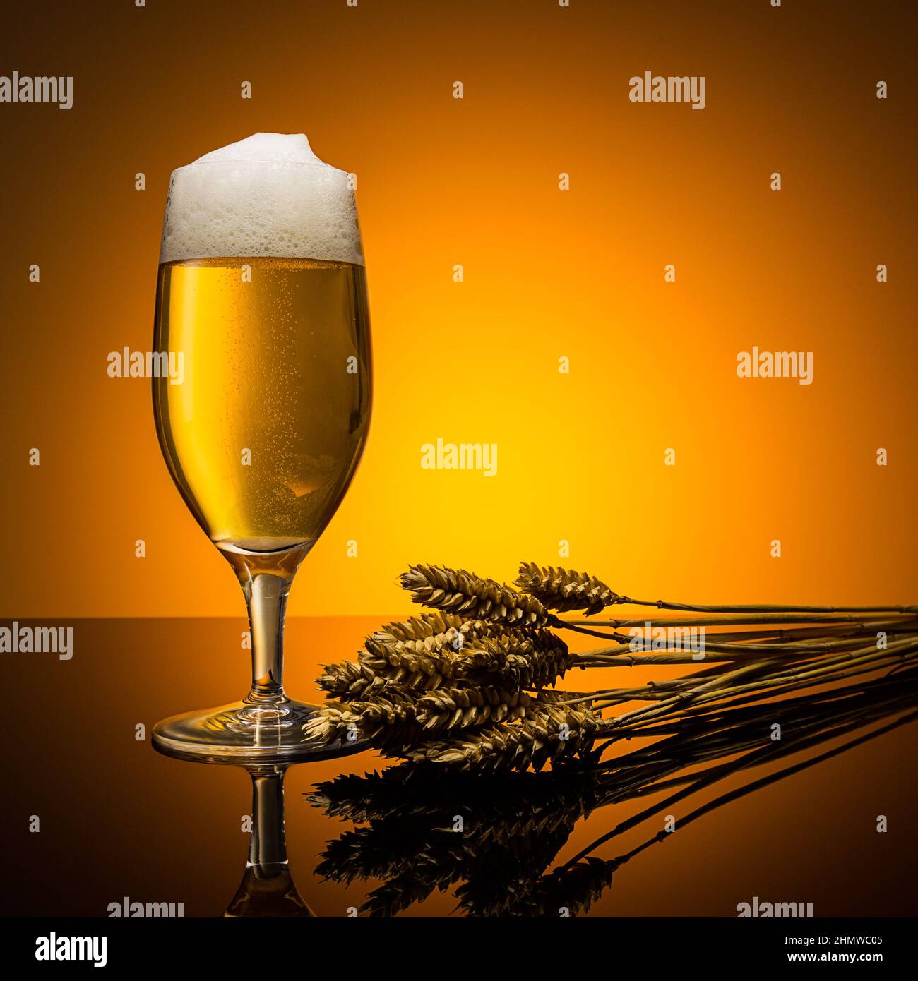 German Beer With Corn Stock Photo Alamy german-beer-with-corn-stock-photo-alamy