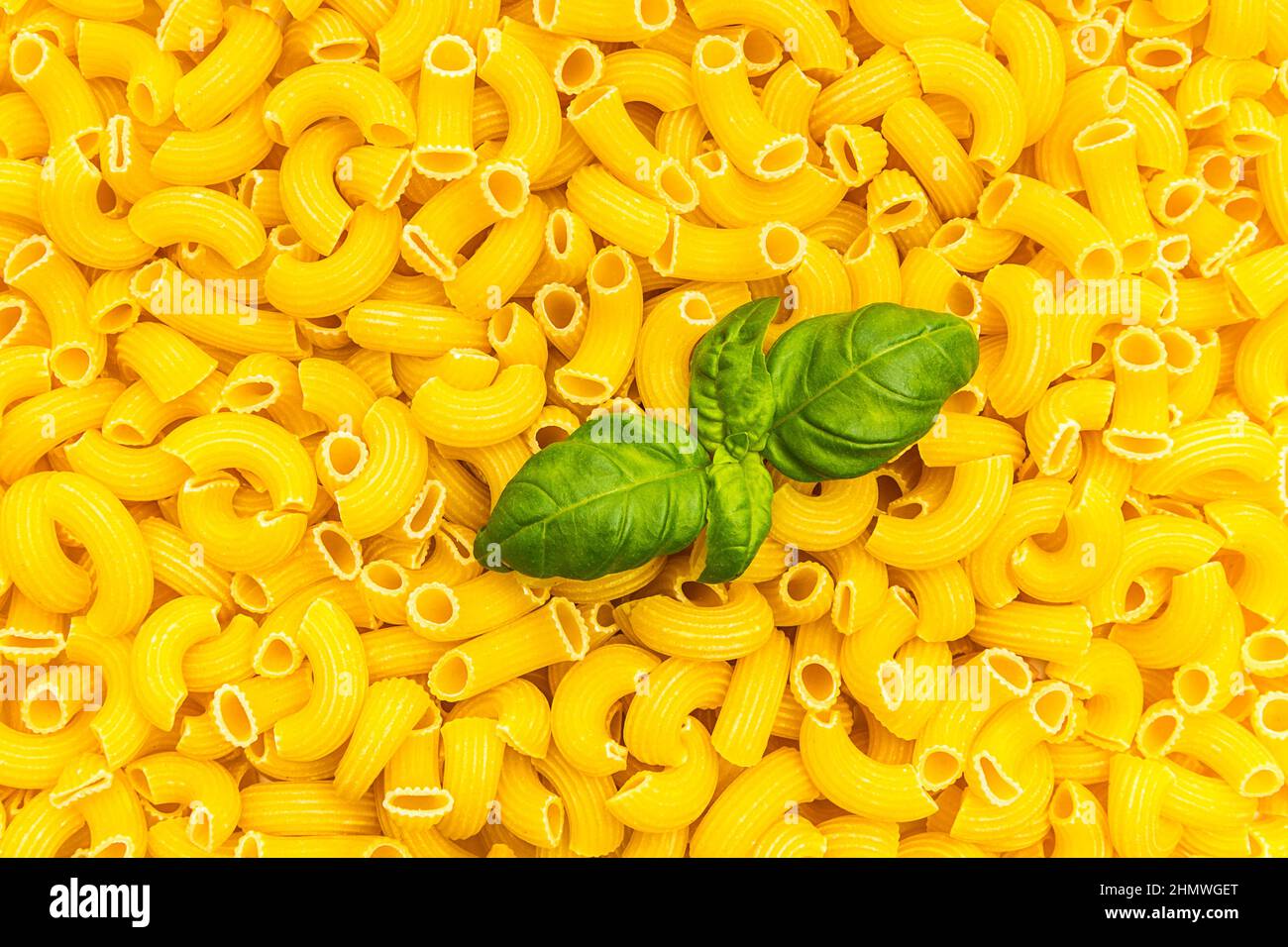 Elbow macaroni with basil texture Stock Photo Alamy