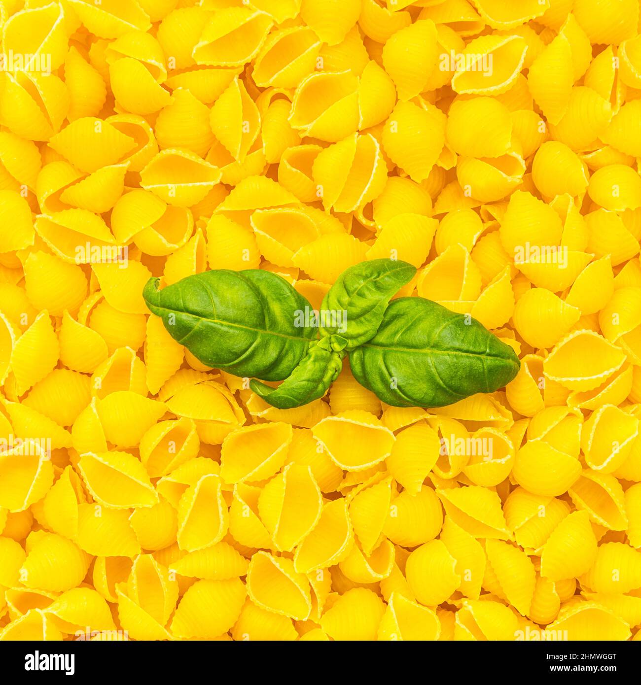 conchiglie (shell noodels) with basil leaf Stock Photo - Alamy