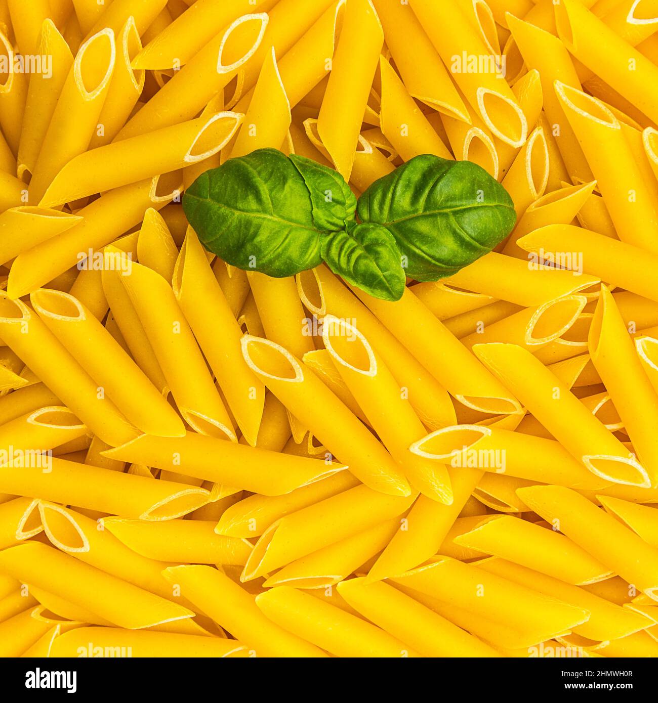 penne noodles with basil leaf Stock Photo Alamy