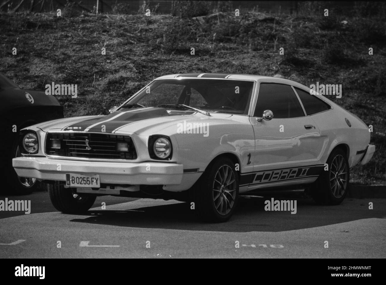 Ford mustang cobra Black and White Stock Photos & Images - Alamy