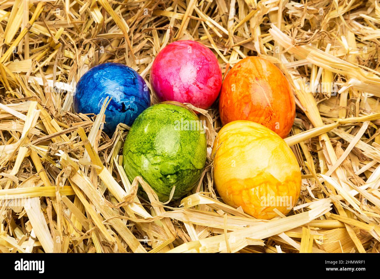 colorful easter eggs in a nest Stock Photo