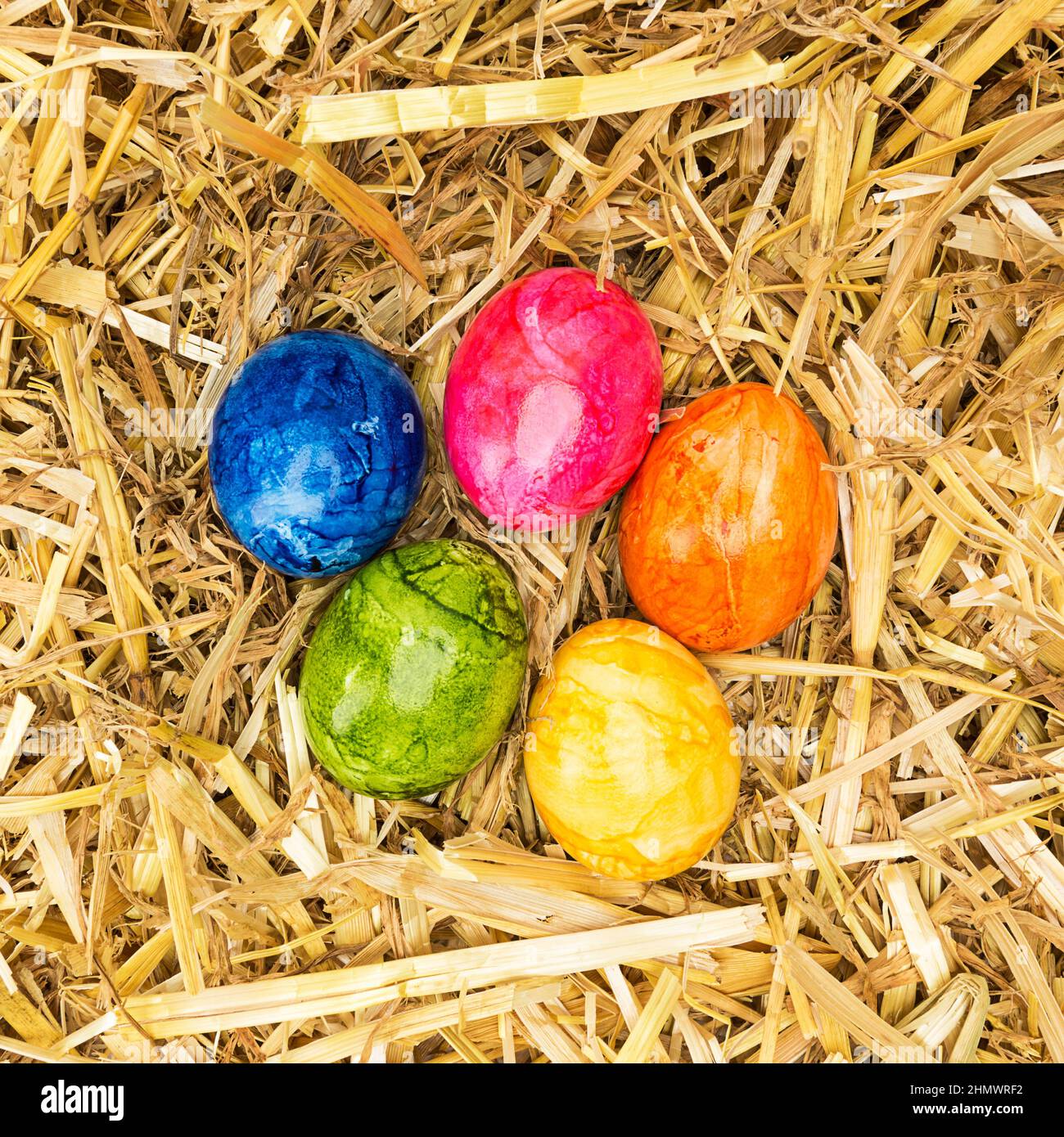 easter straw nest with colored eggs Stock Photo - Alamy