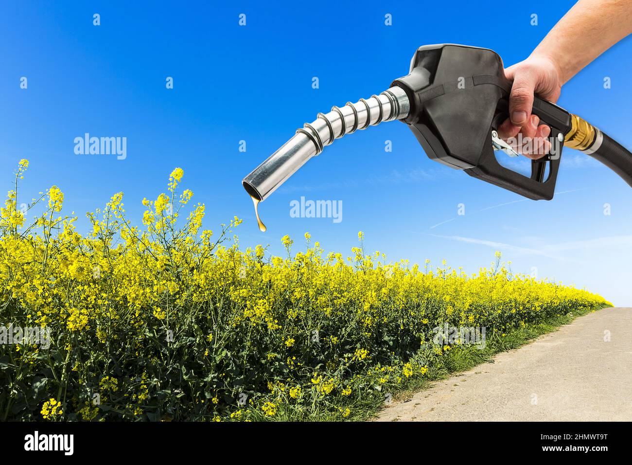 Recharge gas EcoFriendly Stock Photo Alamy