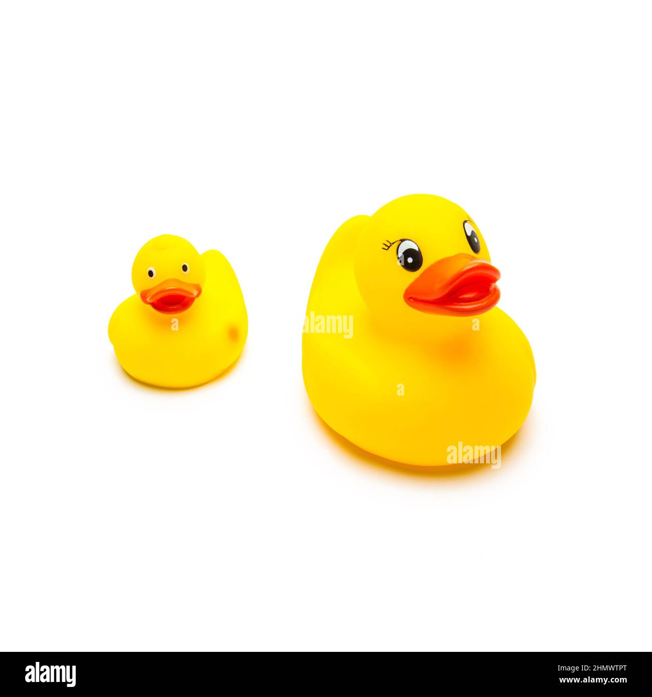 rubber duck family Stock Photo - Alamy