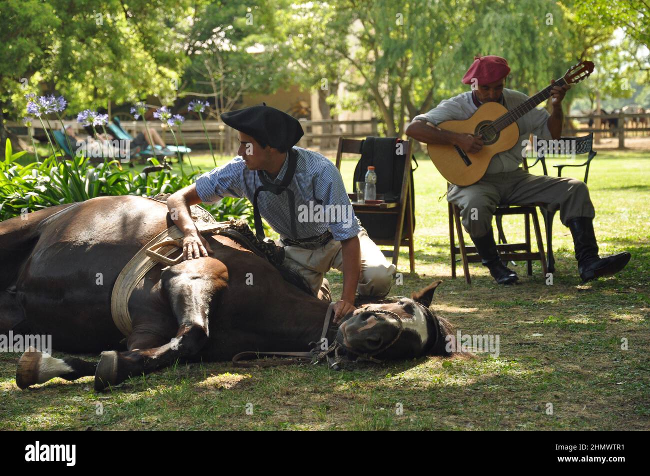 Traditional Argentinian gaucho showing horse skills in la Pampas Stock Photo