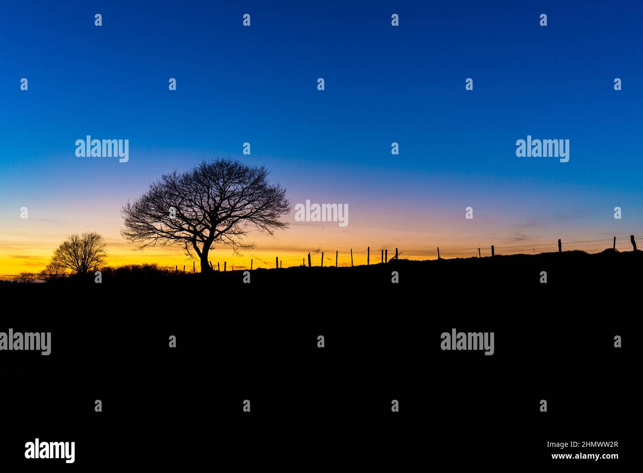 Tree silhouette sunset landscape hi-res stock photography and images ...