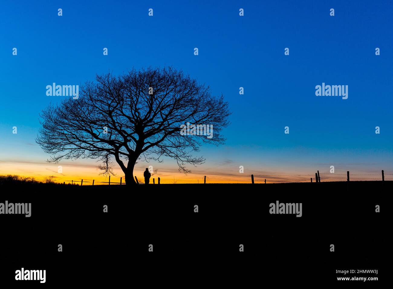 Sunset silhouette oak tree fence hi-res stock photography and images ...