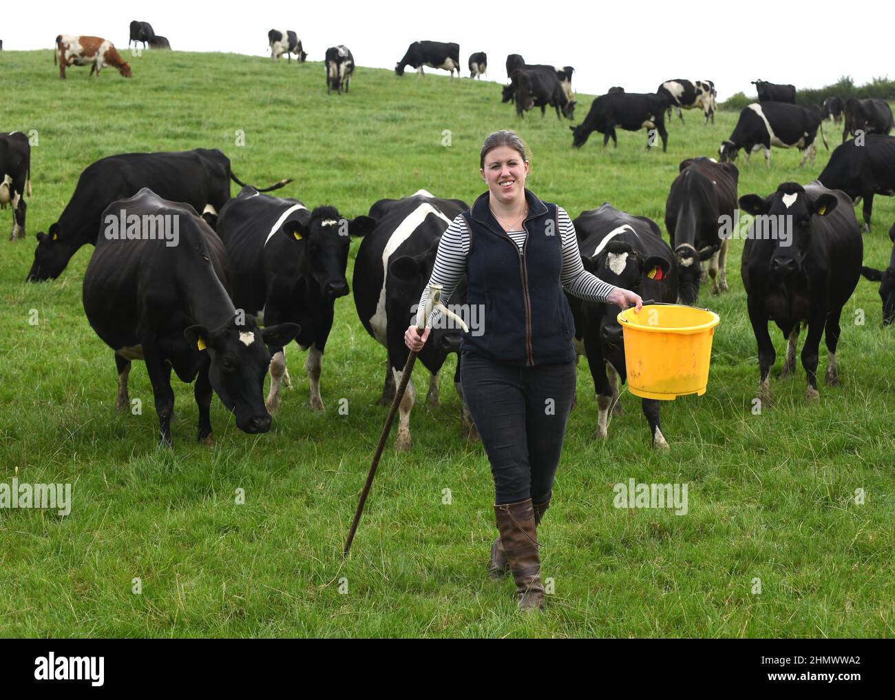 British dairy farmer Liz Haines with her dairy herd at Hardwick Farm
