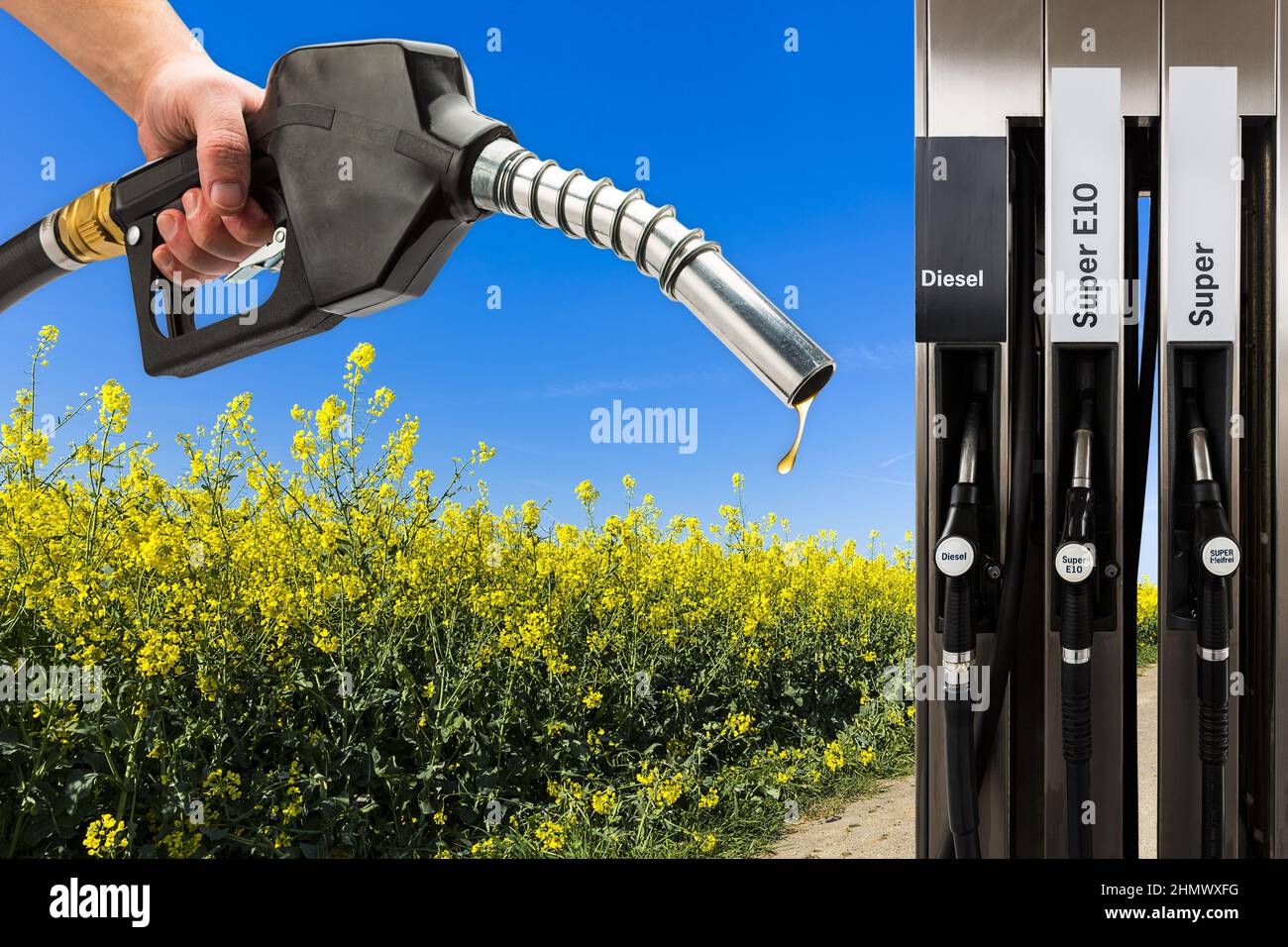Recharge gas EcoFriendly Stock Photo Alamy