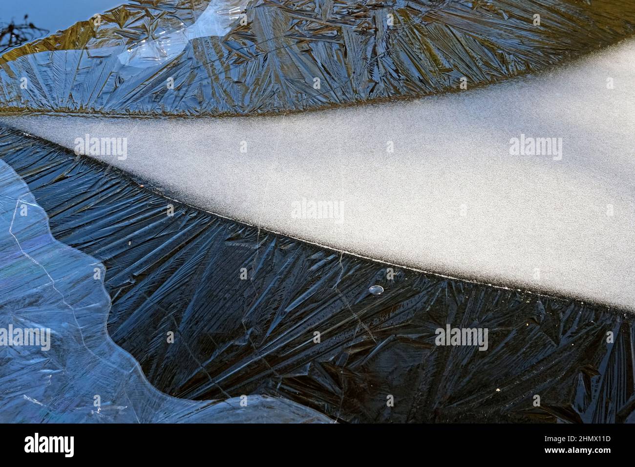 Geometry of the ice surface in bog waters, Kemeri National Park, Latvia