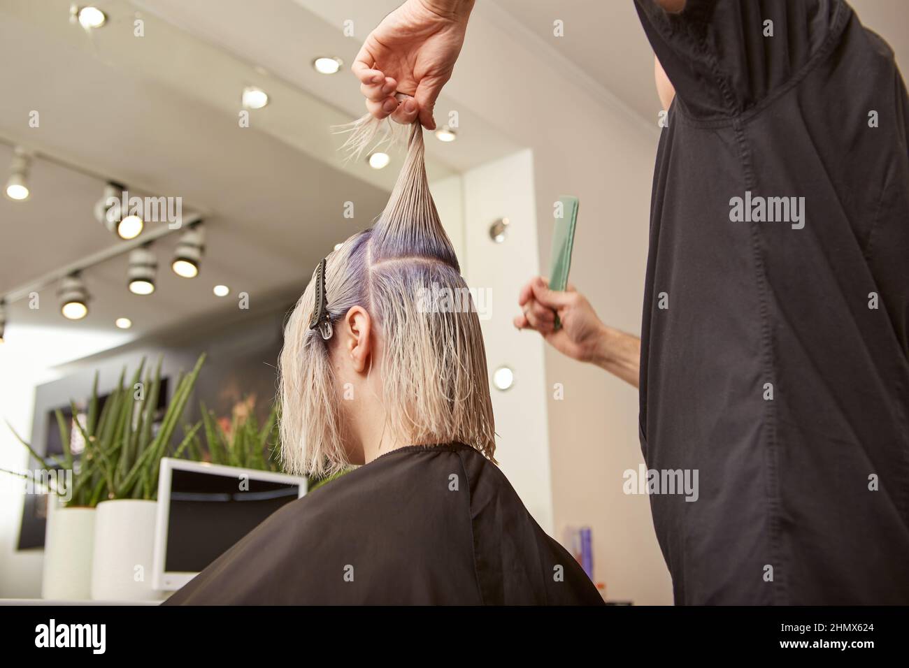Hairdresser cutting woman blonde hair in beauty salon Stock Photo Alamy