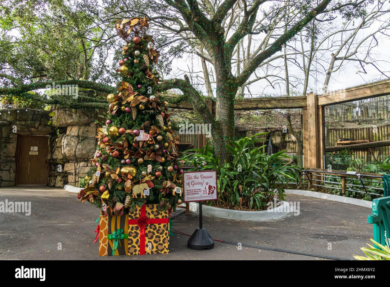Decorations at the Christmas in the Wild holiday event, in ZooTampa at Lowry Park - Tampa, Florida, USA Stock Photo
