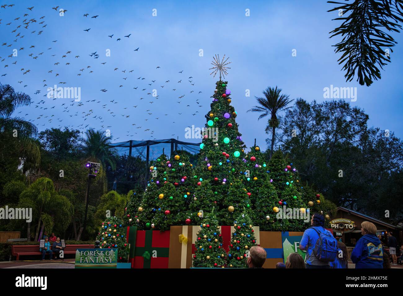 The Forest of Fantasy at the Christmas in the Wild holiday event, in ZooTampa at Lowry Park - Tampa, Florida, USA Stock Photo