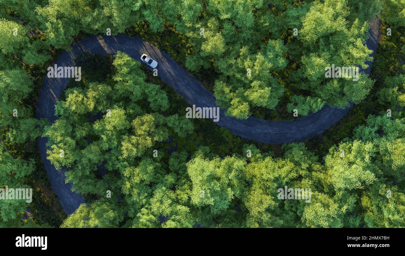 Adventure morning road trip in the forest, aerial view of a car on deep jungle road. On The Road Again concept. Stock Photo