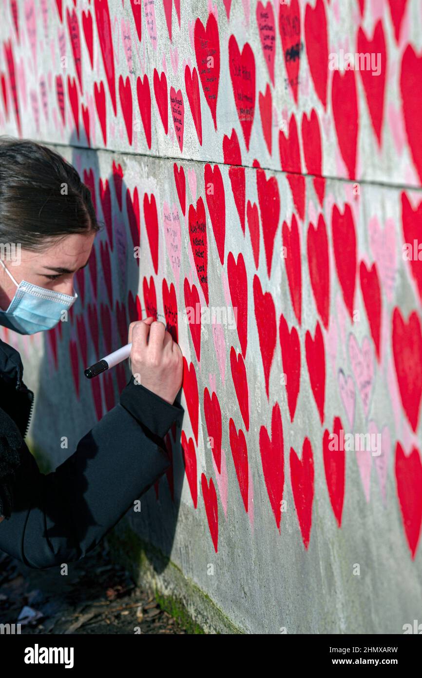 Young female writing names on The National COVID Memorial Wall painted with red hearts on beautiful sunny day . Westminster, London , UK . Stock Photo