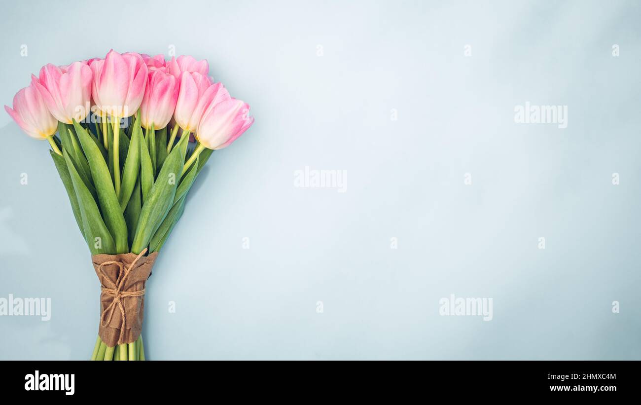 Pink tulips on blue background. Flat lay with copy space Stock Photo ...
