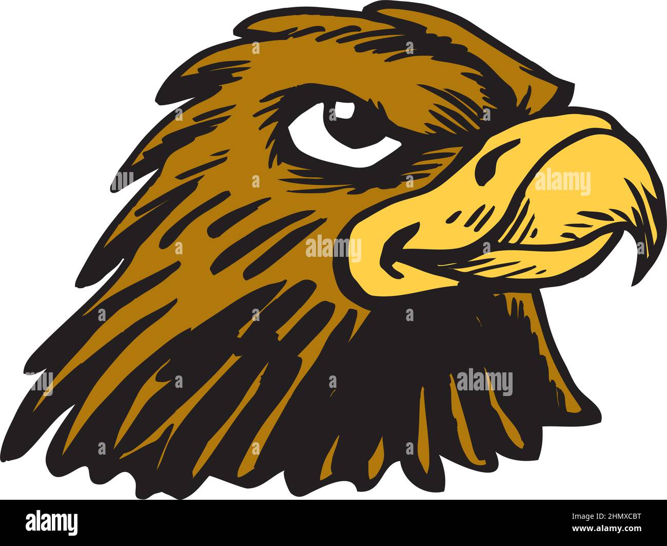 Hawk Mascot Head Vector Illustration Stock Vector Image & Art - Alamy
