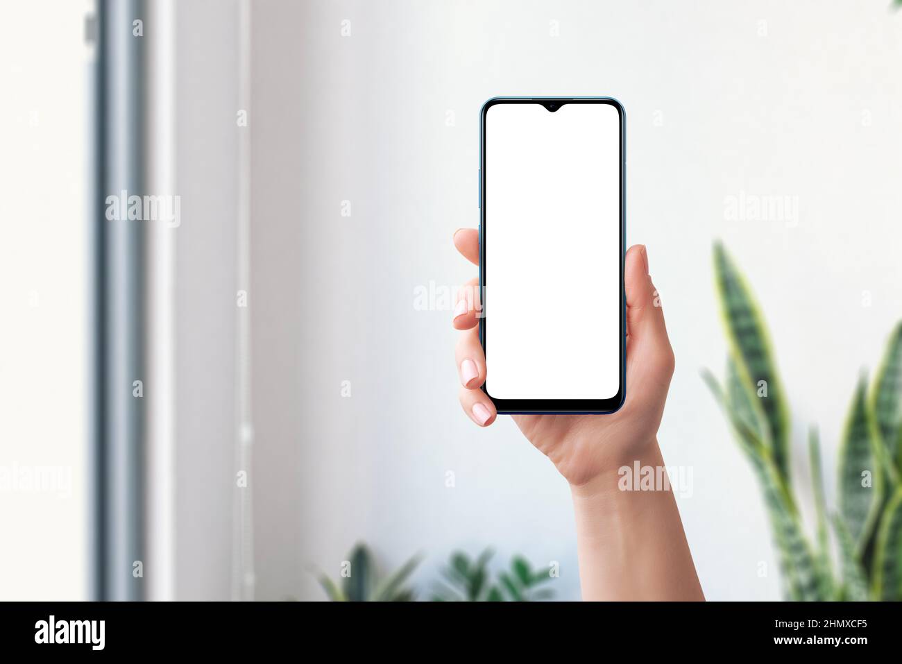 Phone mockup in woman hand. Front position. Isolated screen for mockup. Living room in background with plant Stock Photo