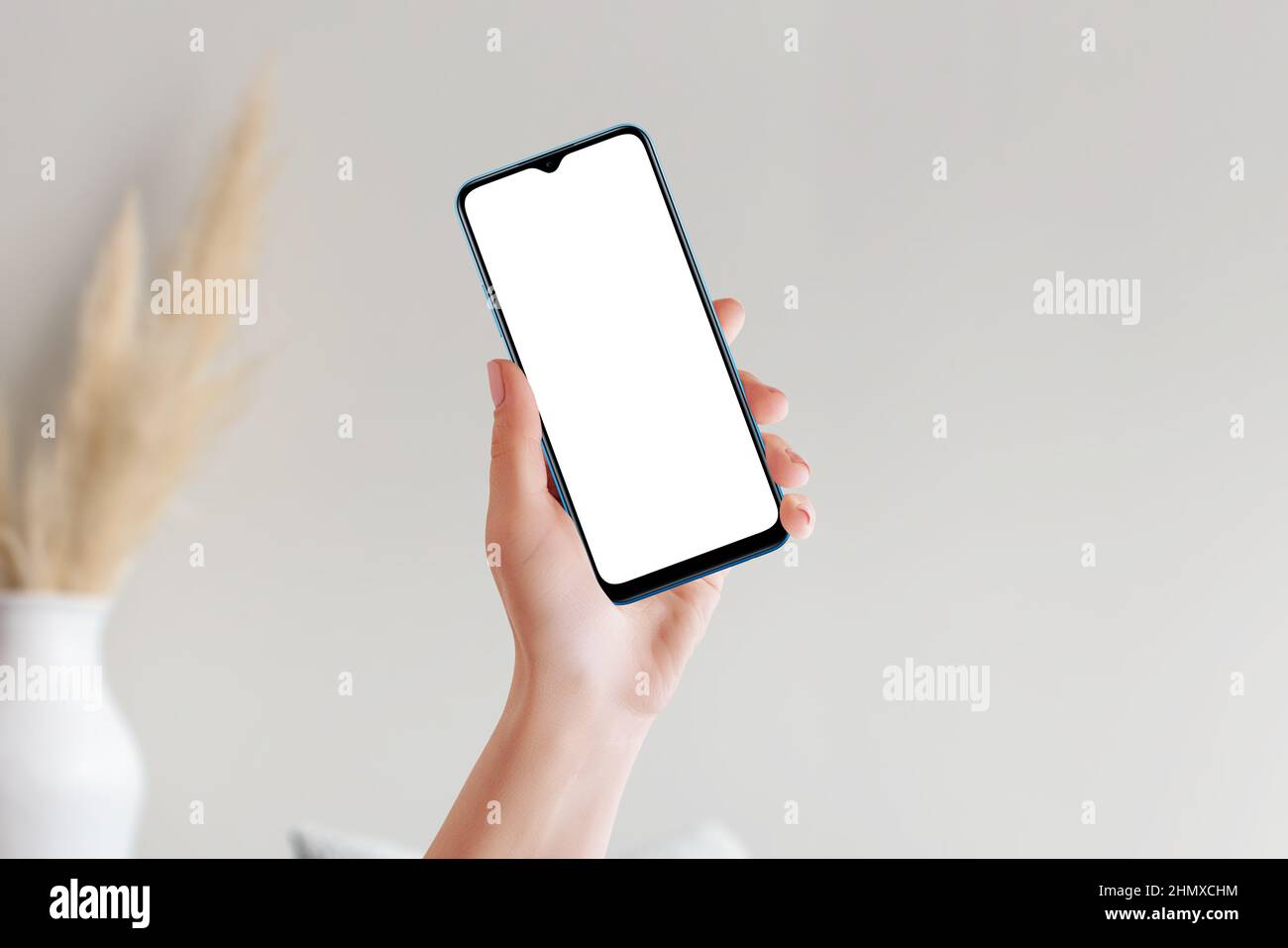 Female hand holding smart phone with blank mockup screen Stock Photo ...