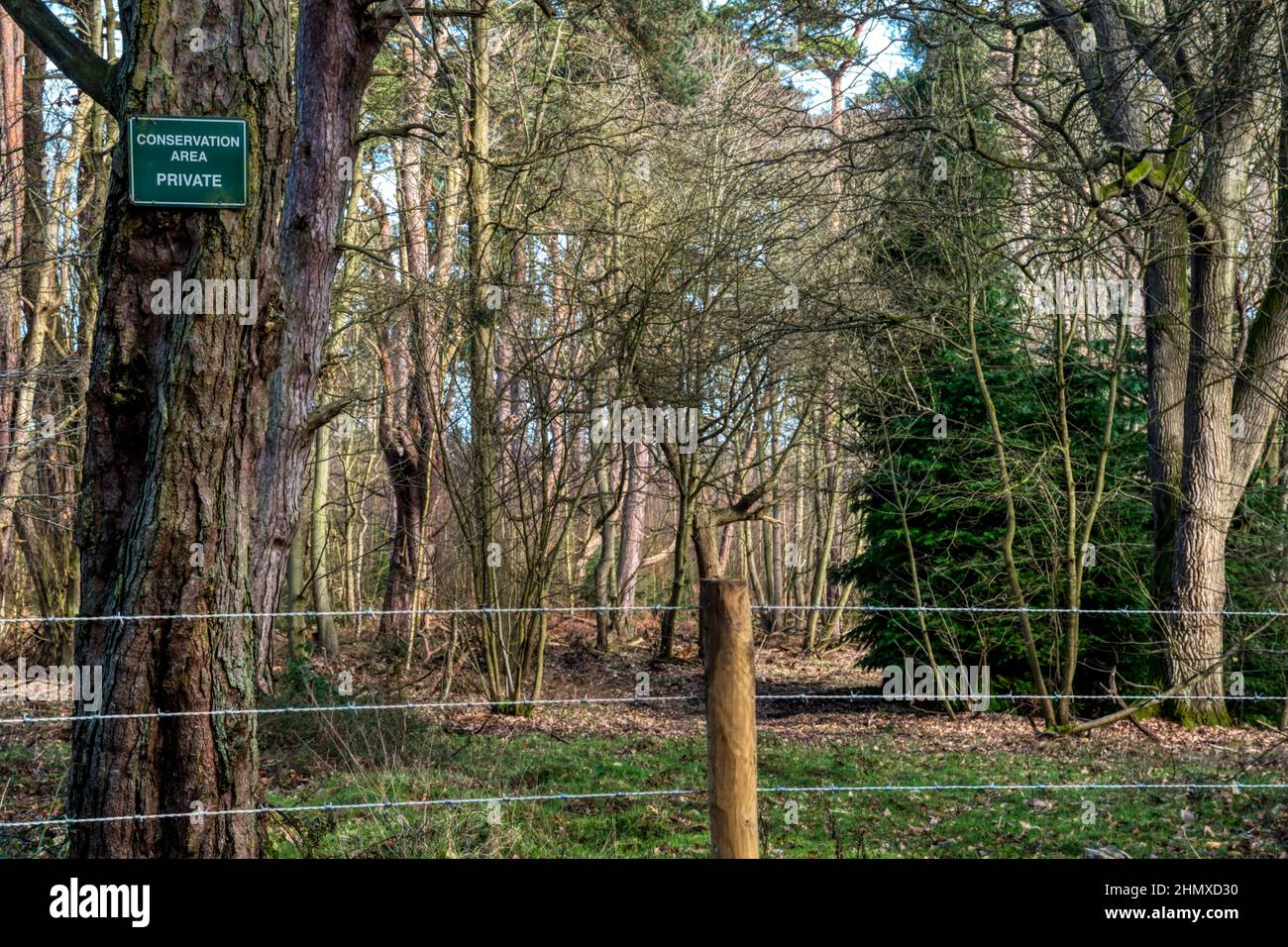 Wildlife Conservation Area at Ken Hill, Norfolk Stock Photo Alamy