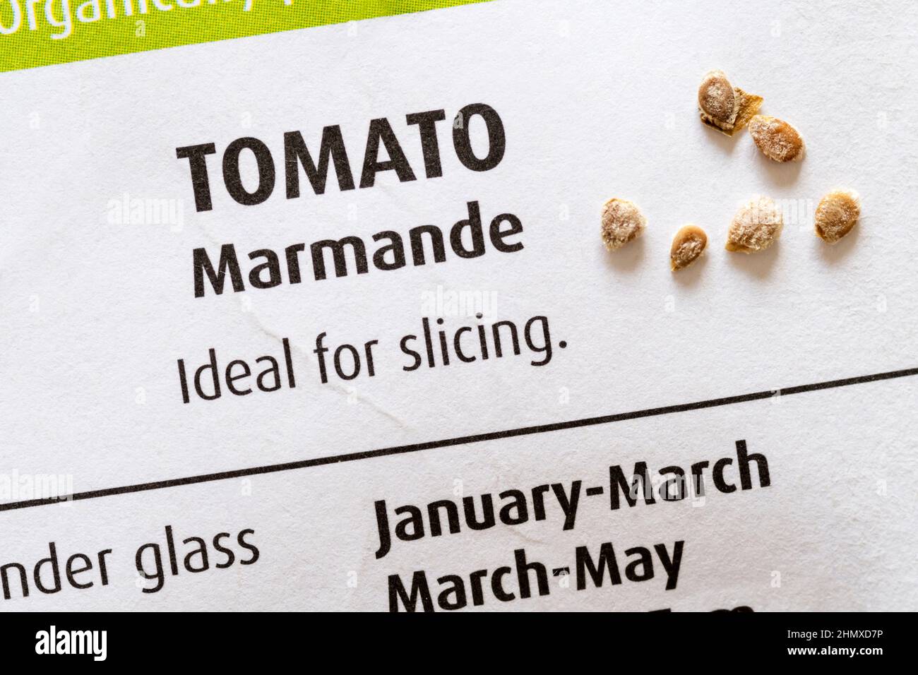 Marmande tomato seeds. Stock Photo